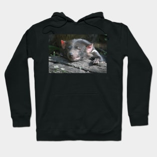 Tasmanian Devil Hoodie